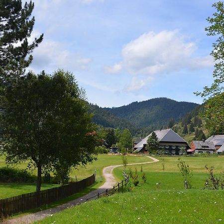 Ferienwohnungen Sternenthal Menzenschwand-Hinterdorf Exterior foto