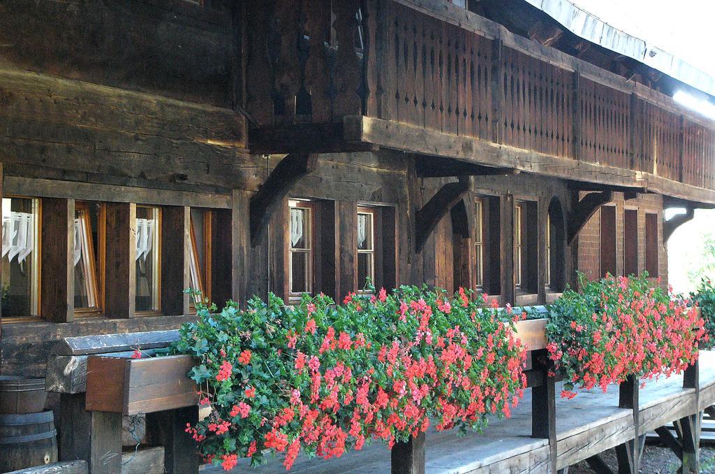 Ferienwohnungen Sternenthal Menzenschwand-Hinterdorf Exterior foto