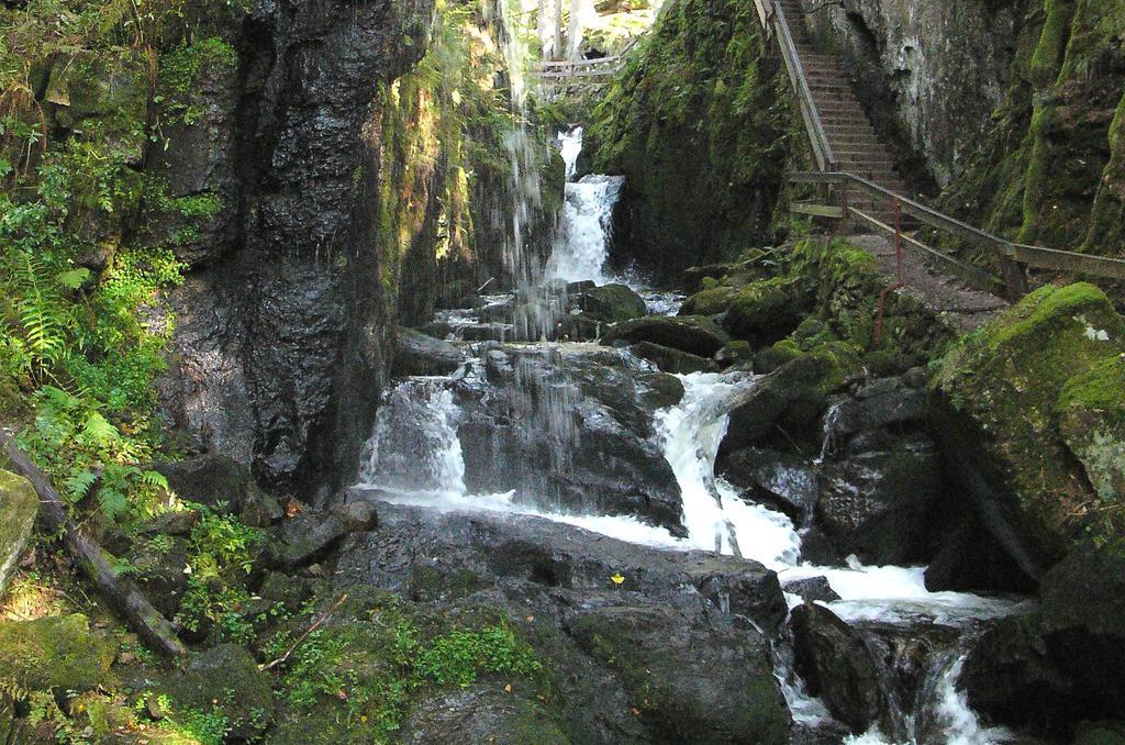 Ferienwohnungen Sternenthal Menzenschwand-Hinterdorf Exterior foto