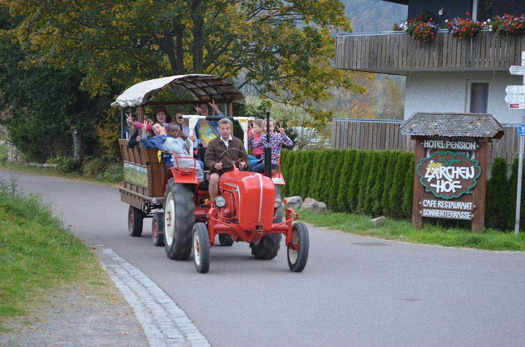 Ferienwohnungen Sternenthal Menzenschwand-Hinterdorf Exterior foto