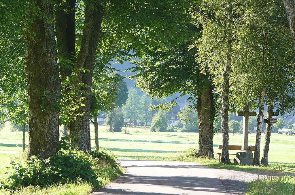 Ferienwohnungen Sternenthal Menzenschwand-Hinterdorf Exterior foto