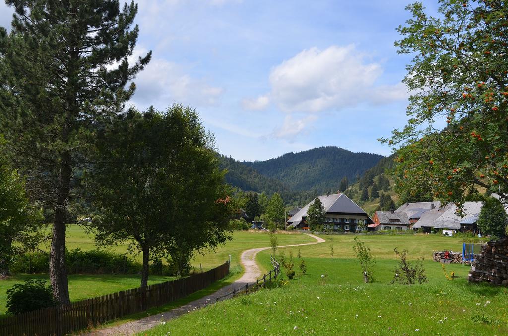Ferienwohnungen Sternenthal Menzenschwand-Hinterdorf Exterior foto