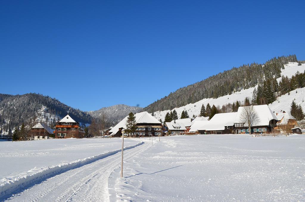 Ferienwohnungen Sternenthal Menzenschwand-Hinterdorf Exterior foto