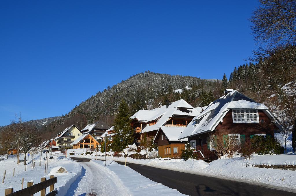 Ferienwohnungen Sternenthal Menzenschwand-Hinterdorf Exterior foto